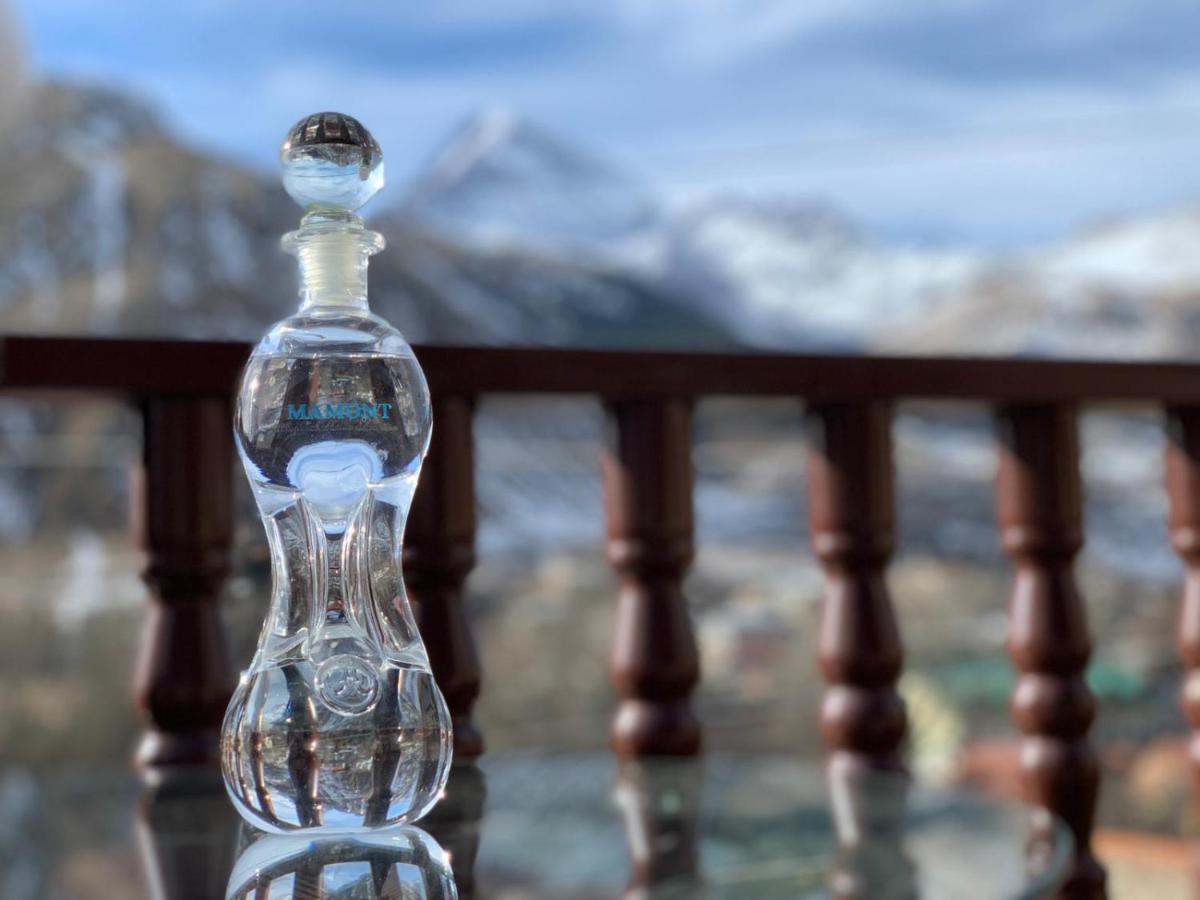 Come & Rest Kazbegi Bagian luar foto